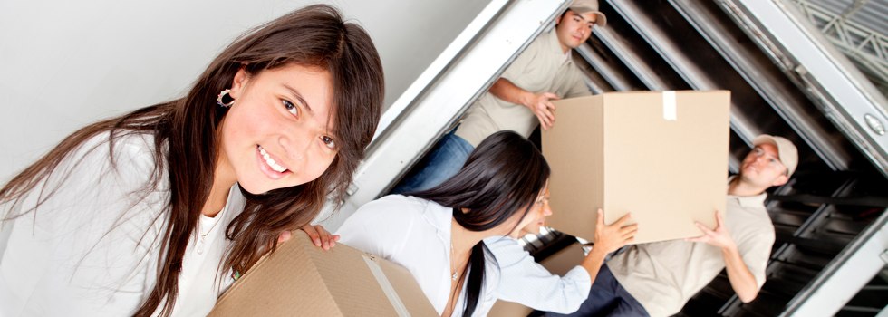 Professional Removalists Linwood